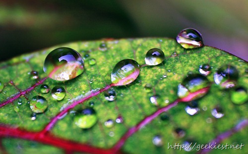 Macro of waterdrops on leaf