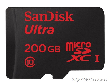 200GB Micro SD card