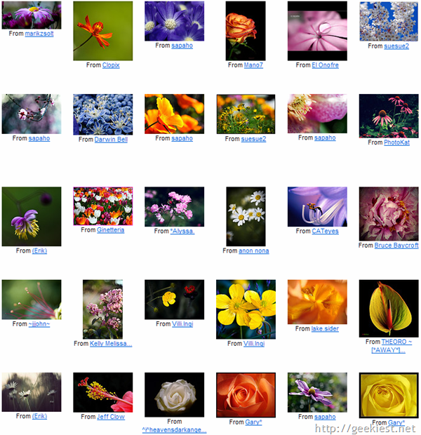 Best-Flower-Photograpgs-1