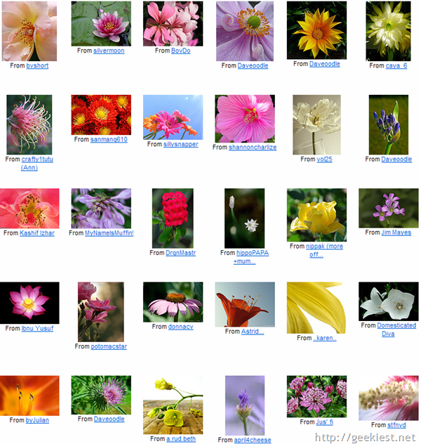 Best-Flower-Photograpgs-2[8]