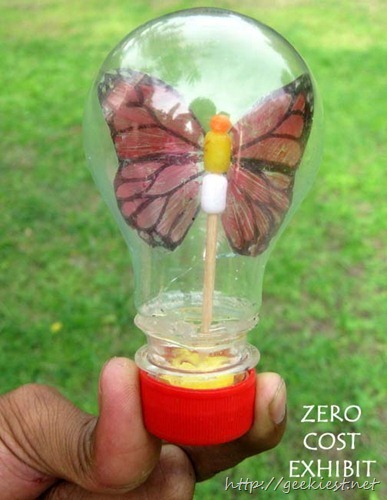 Butterfly In Bulb 