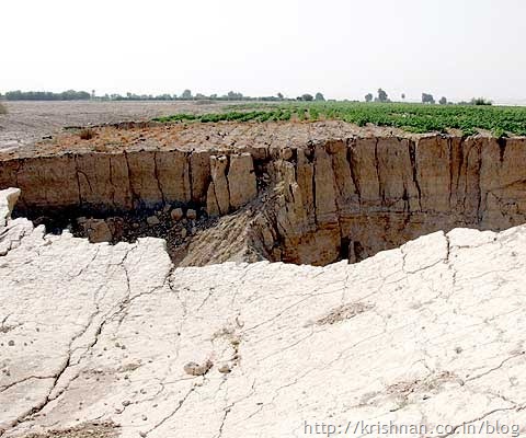 DesertedField