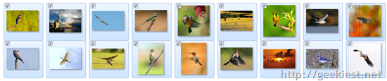 Free Windows 7 Theme Birds
