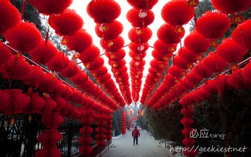 中国春节 (Chinese New Year)