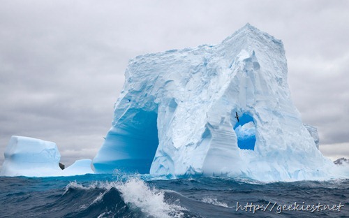 Blue iceberg dramatically sculpted by waves and melting action accelerated by global warming and climate change, and Southern giant petrel in flight, South Georgia Island, Southern Ocean, Antarctic Convergence, Polar Front