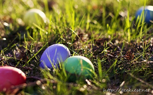 Colored eggs left in the grass