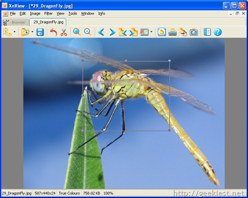 Free Image viewers for Windows - XnView