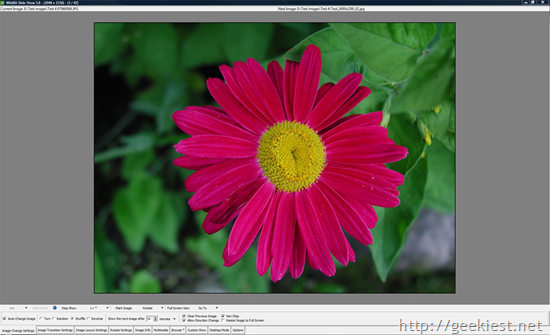 Free Image viewers for Windows - WildBit Viewer