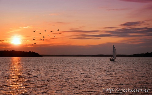 Sailboat at sunset with birds, Sweden