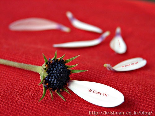true-love